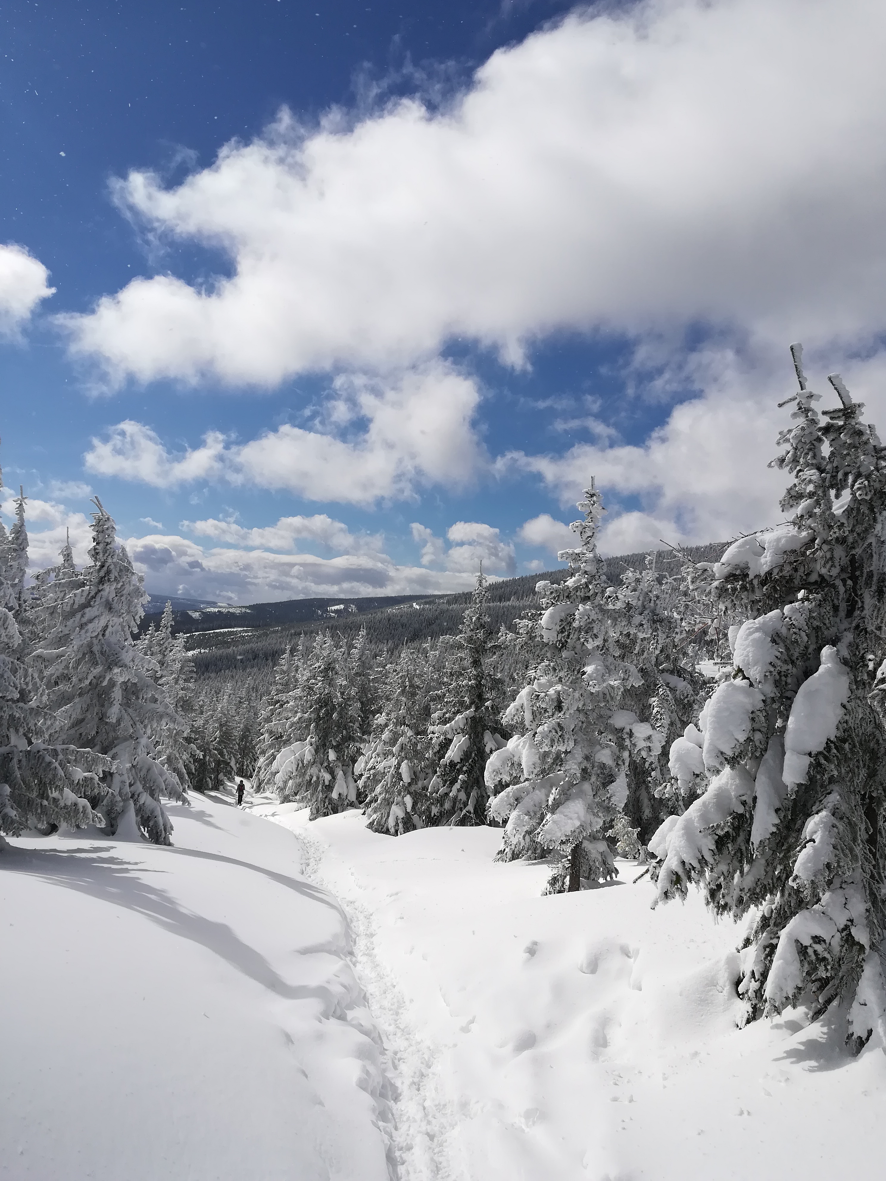 Zimní fotografie - klikni ZDE - Zimní fotografie - klikni ZDE -